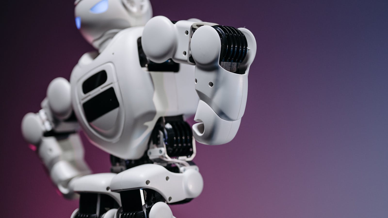 beş popüler Chatbot sistemi